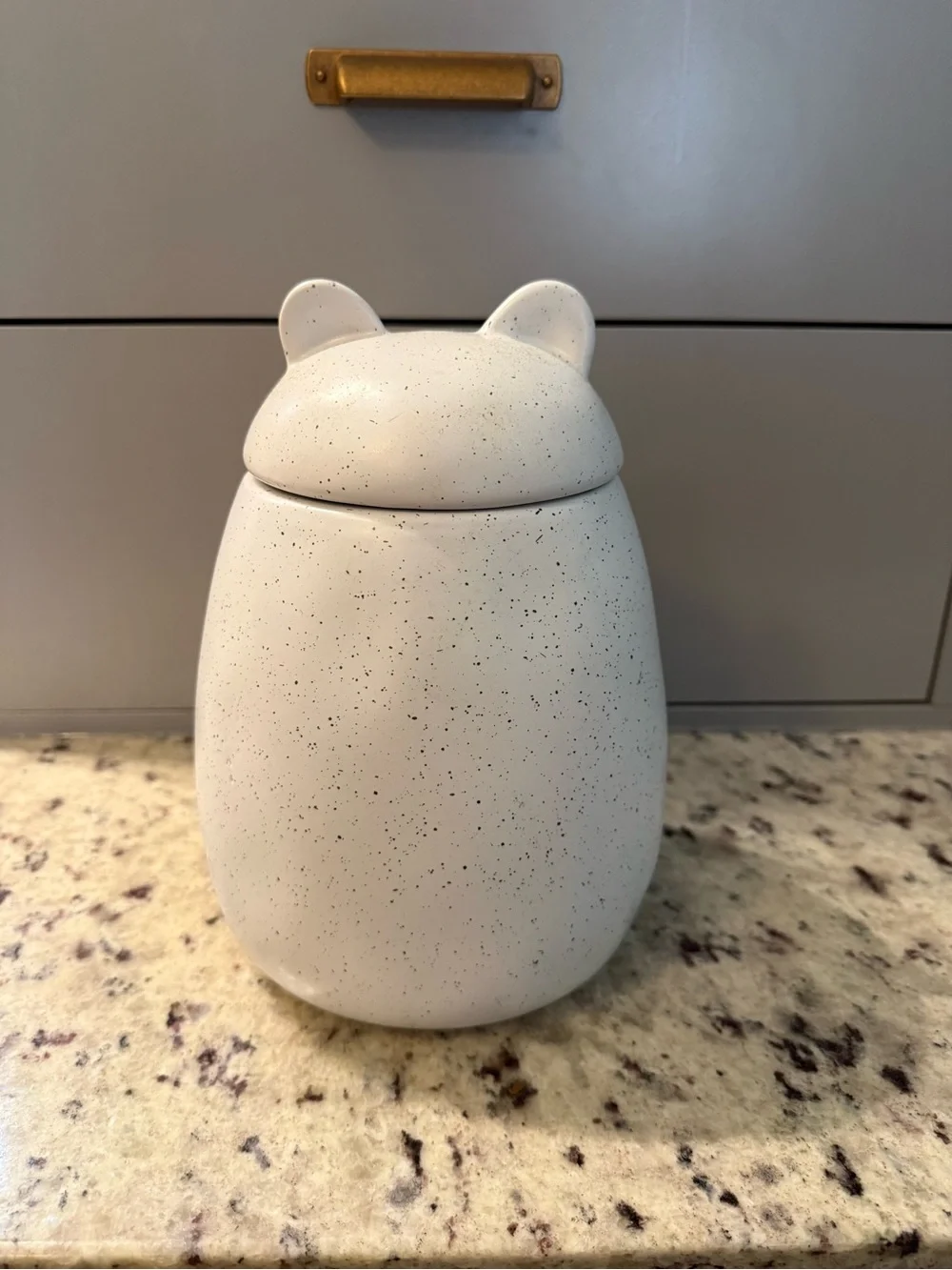 🆕 The West Elm Modern White Bear Ear Cookie Jar